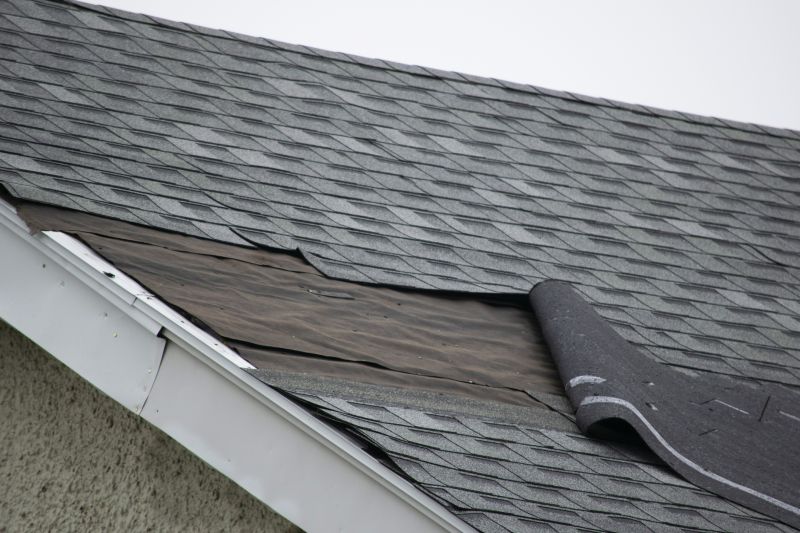 Asphalt Roof Repair