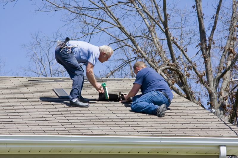 Asphalt Roof Repair