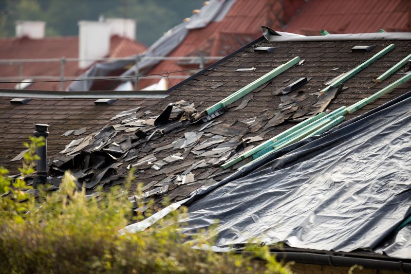 Asphalt Roof Repair