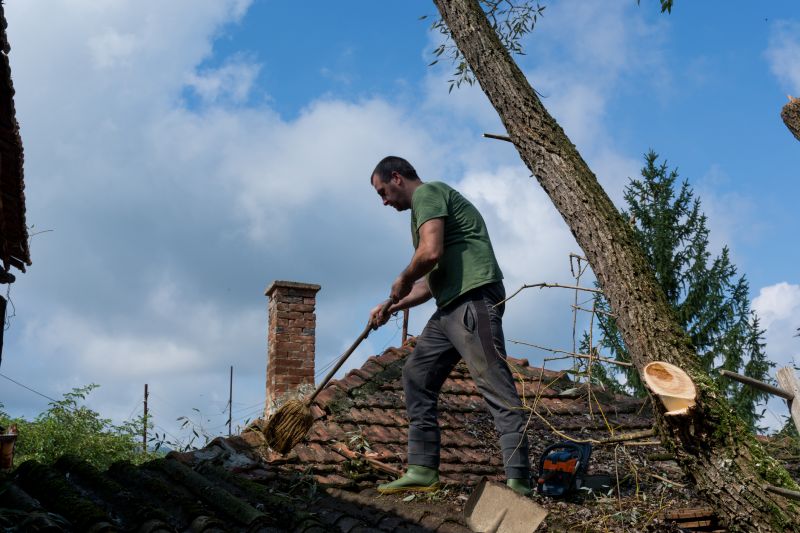 Damaged Roof Repair