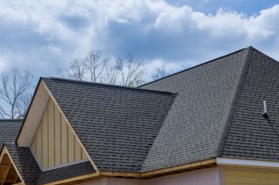 Asphalt Roof Inspection detail