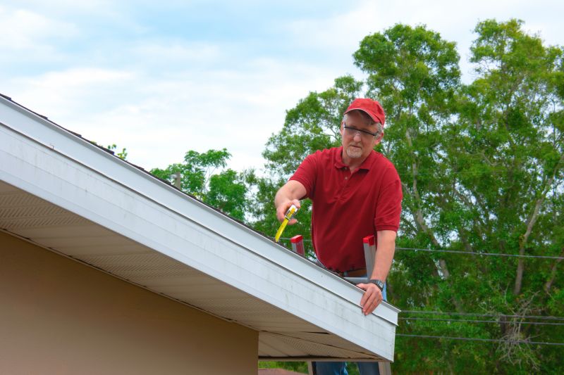 Asphalt Roof Inspection detail