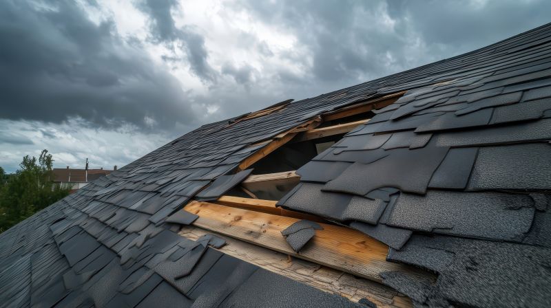 Damaged Roof Replacement detail