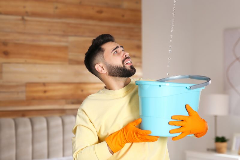 Roof Leak Detection Service detail