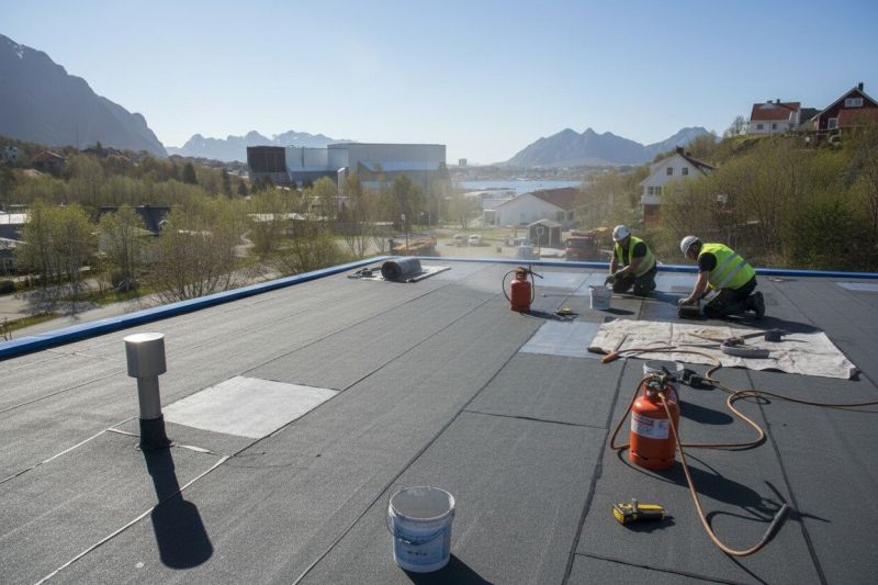 Single Ply Roof Repair detail