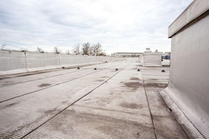 Tpo Roof Coating Service detail